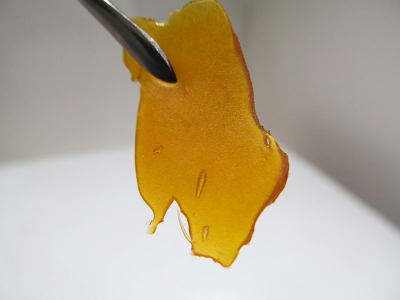 ice tea shatter cannabis concentrate