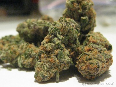 Thin Mint Cookies Hybrid Cannabis Flower