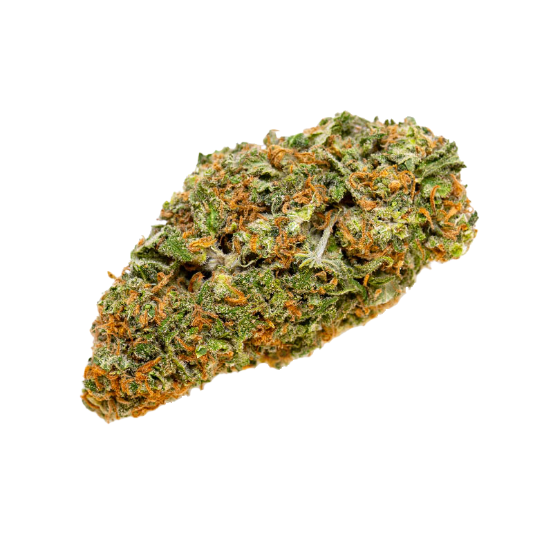 Citrique Sativa Marijuana nugget from hotgrass.ca