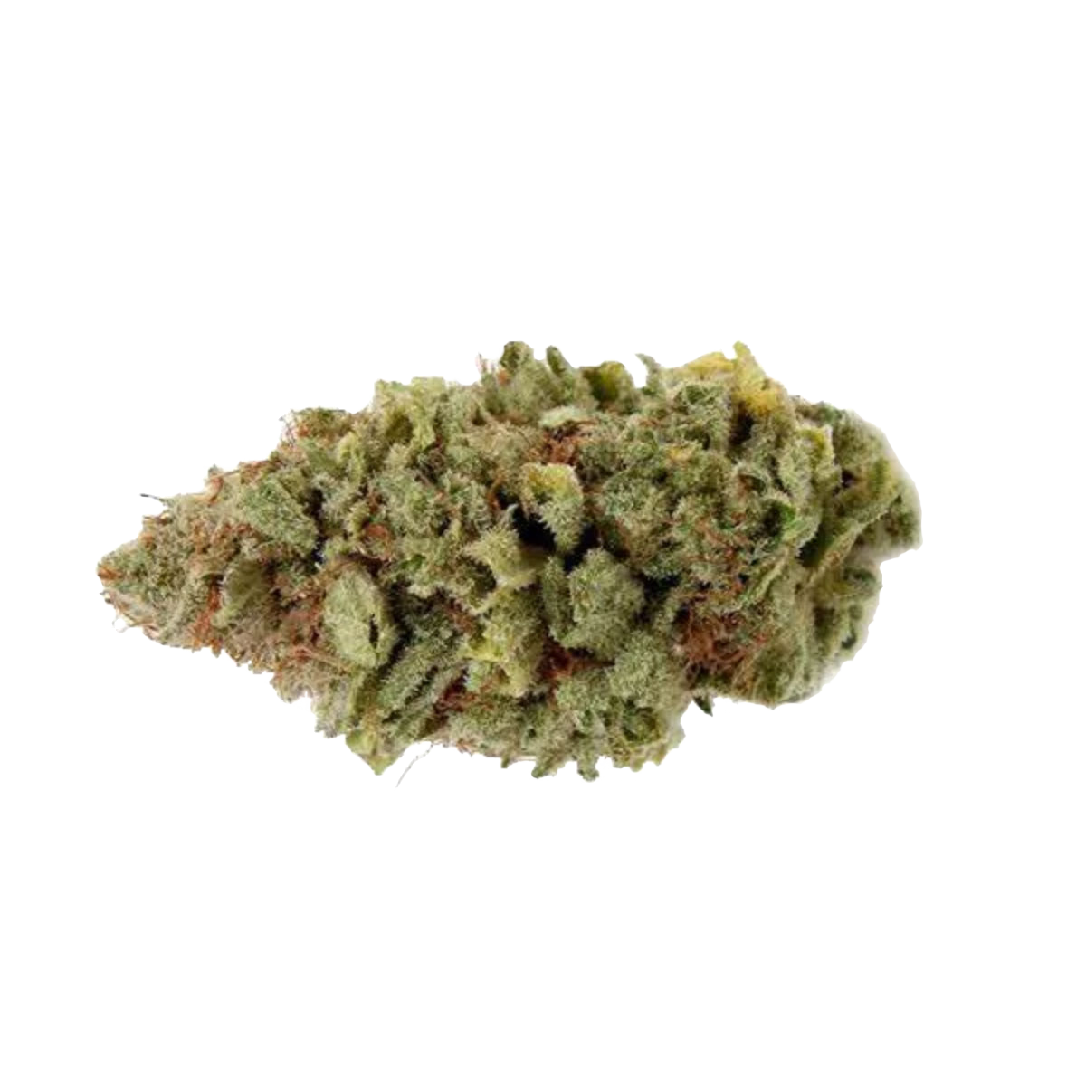 A nugget of violator kush marijuana from hotgrass.ca
