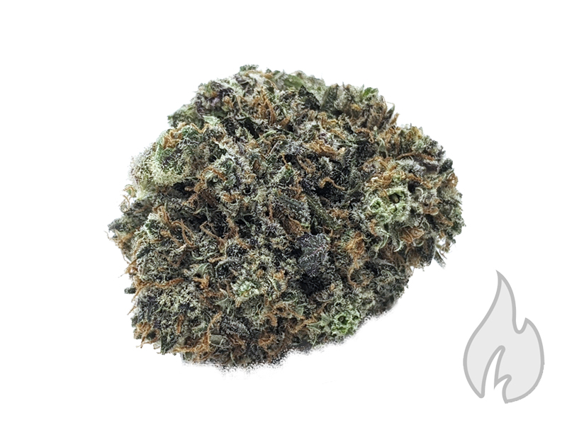 Blackberry Platinum Kush AAAA cannabis flower - Hotgrass