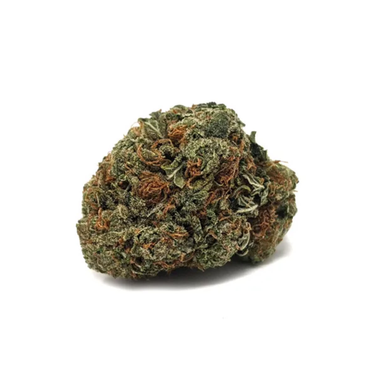 Alien OG hybrid marijuana strain from hotgrass.ca