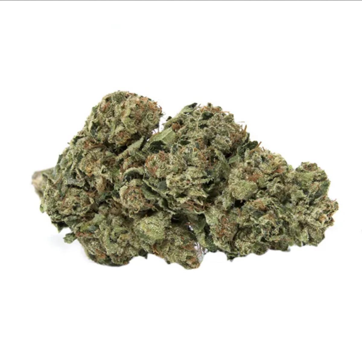 Lambo OG Hybrid marijuana strain from hotgrass.ca