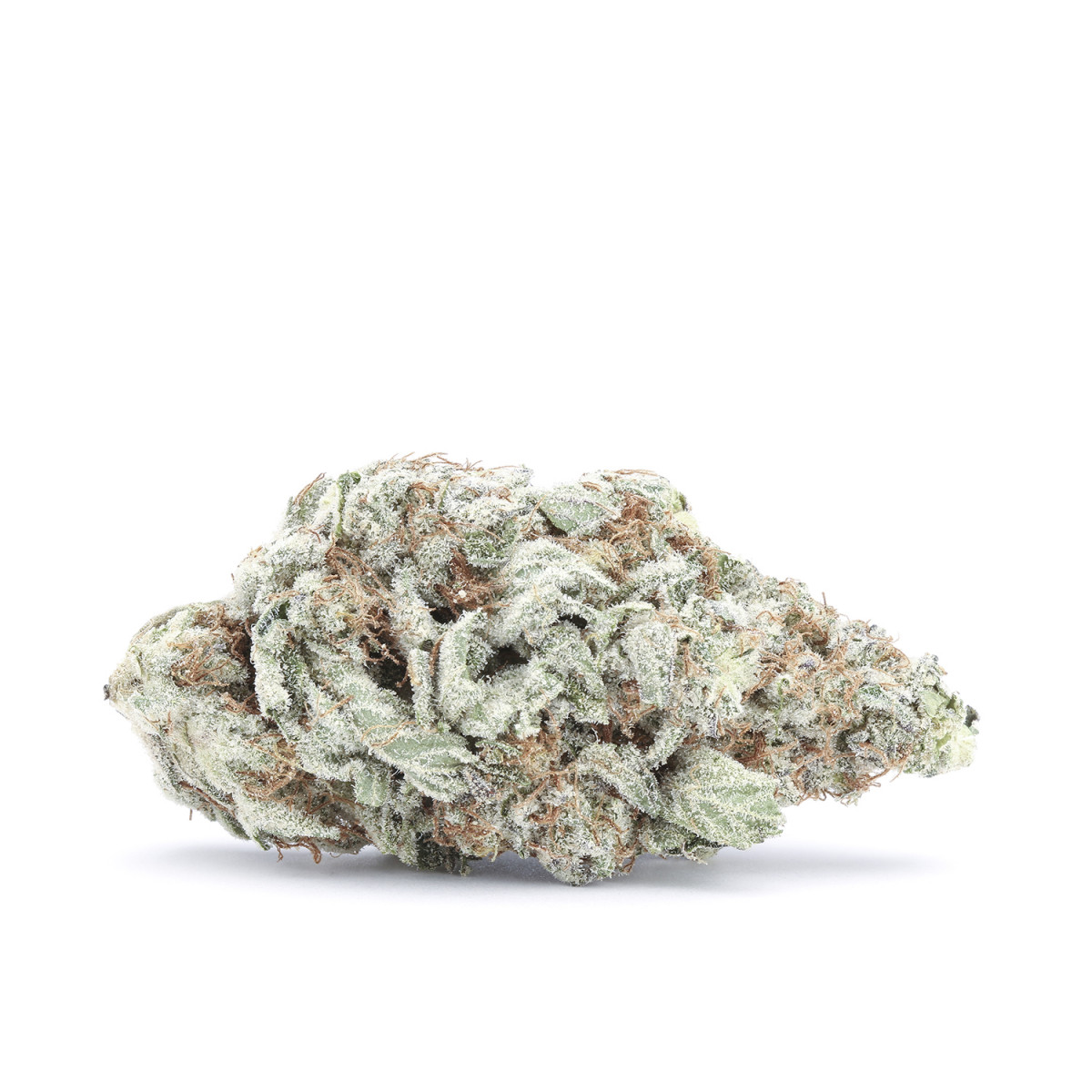 Purple Crack Hybrid marijuana strain from hotgrass.ca