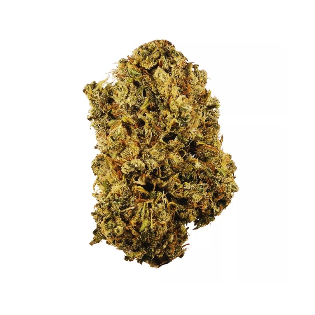 Durban Poison strain cannabis flower from hotgrass