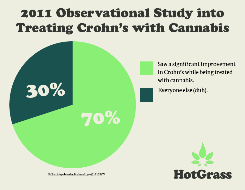 hotgrass infographic on using cannabis to treat crohn's