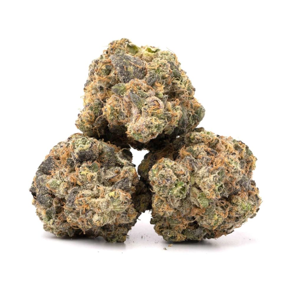 Rainbow kush hybrid cannabis strain by hotgrass (1)