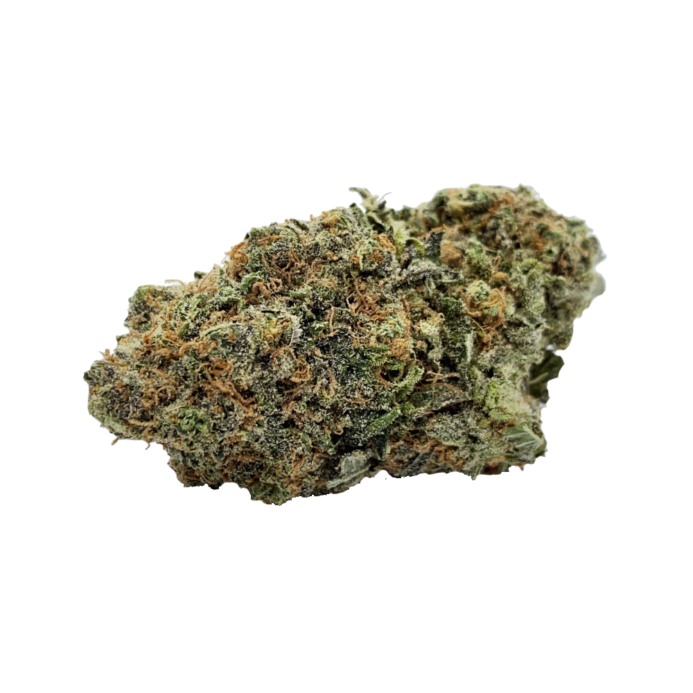 Blueberry Gas marijuana on a white background from hotgrass.ca