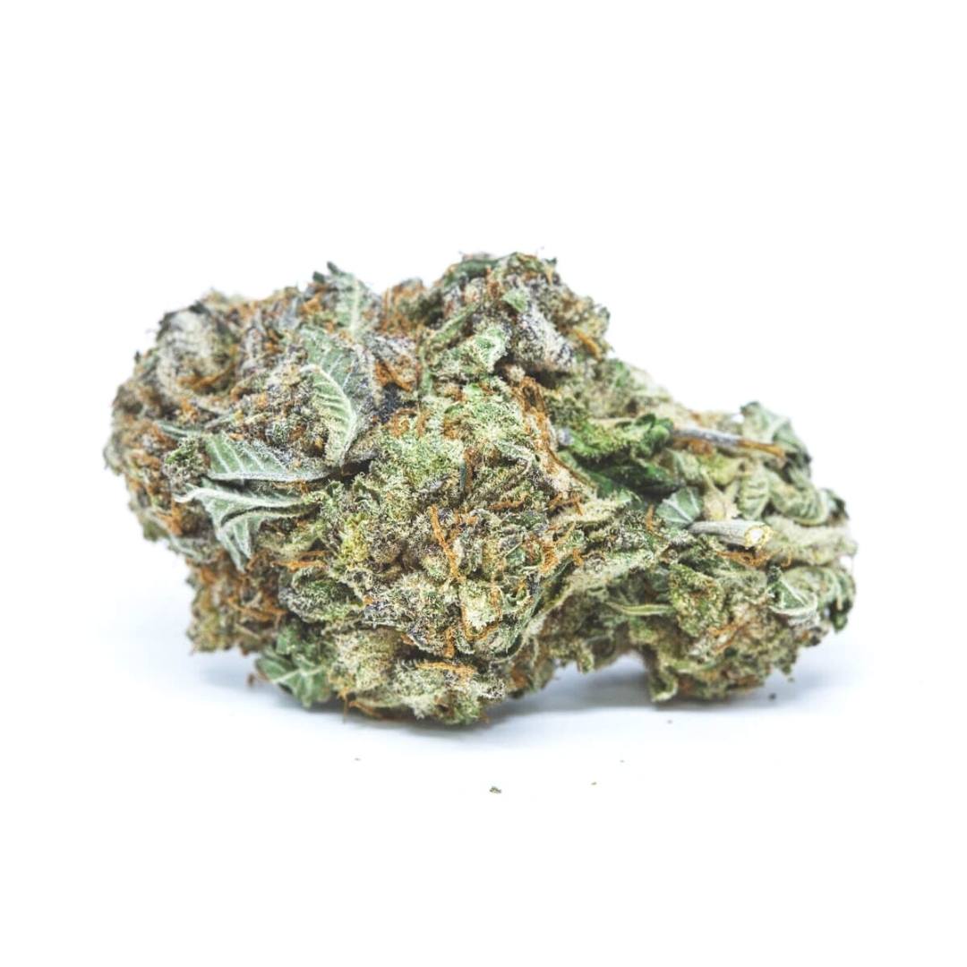 Mendocino purps cannabis strain hotgrass