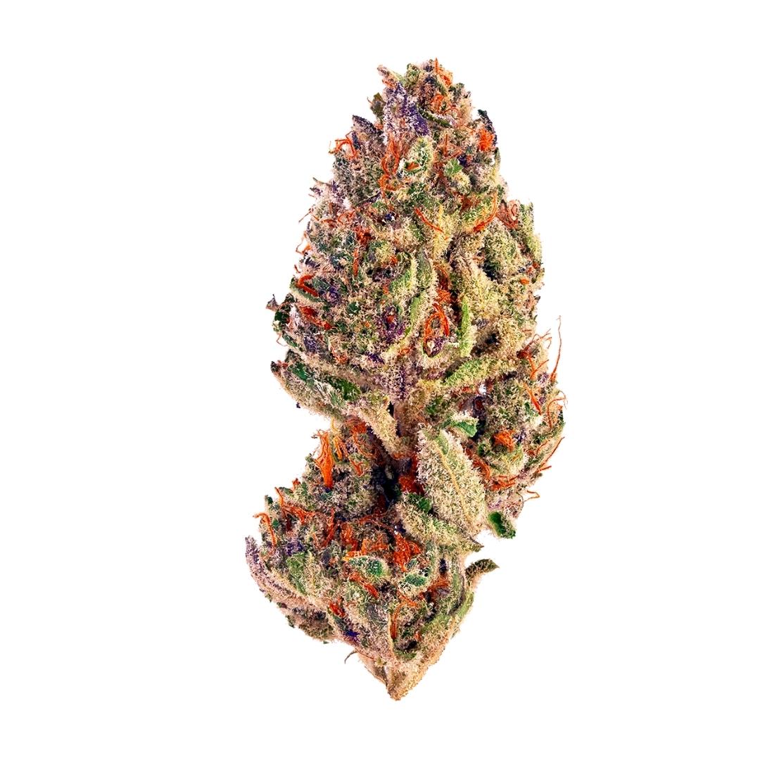 Tropicana cookies strain cannabis flower from hotgrass