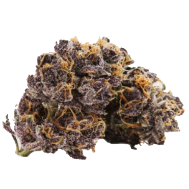 Black Cherry marijuana nugget from hotgrass.ca