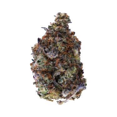 Garlic Breath indica dominant AAA marijuana nugget from hotgrass.ca