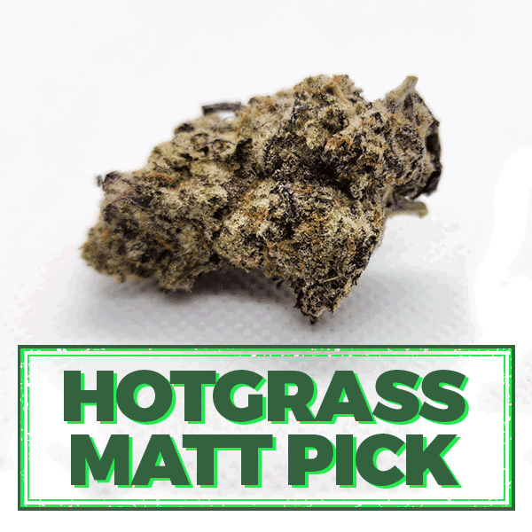 MAC1-HGMP Hotgrass