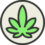 Cannabis Flower