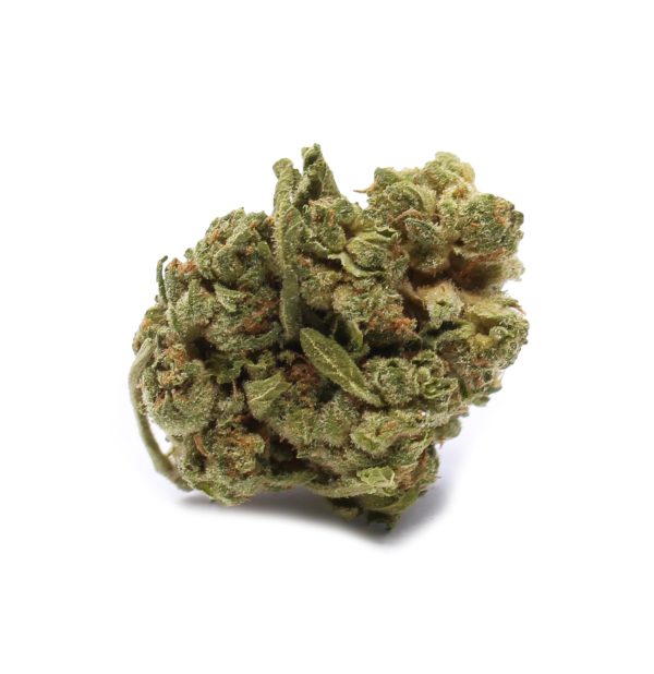 Ounce of Mimosa (AA)