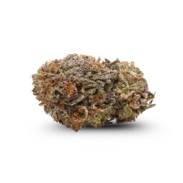 Ounce of <b>Chocolope</b> (AAA)